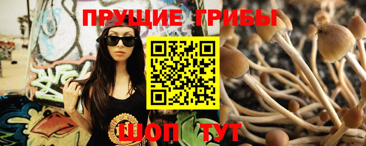 Людиново  Галлюциногенные грибы ЛСД  Галлюциногенные грибы мухоморы  Вход с VPN 